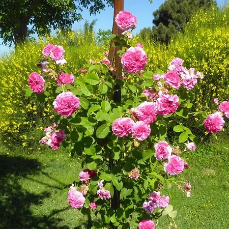Monte Santa Maria Tiberina Sleeps 4 With Pool And Wifi 몬테레오네 도르비에토