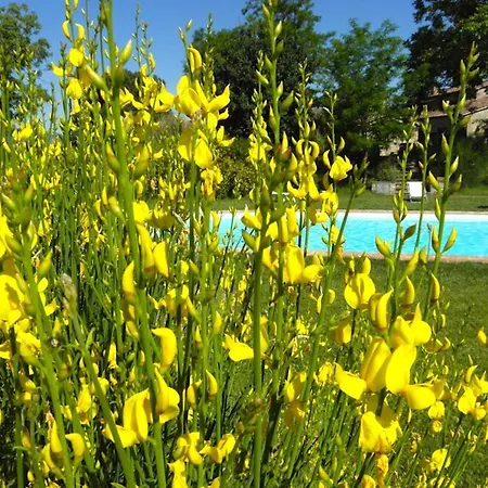 Monte Santa Maria Tiberina Sleeps 4 With Pool And Wifi *