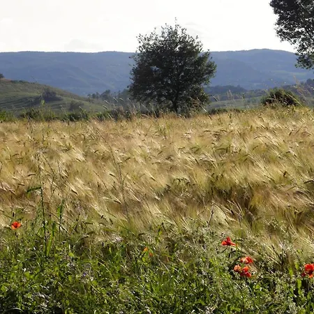 Monte Santa Maria Tiberina Sleeps 4 With Pool And Wifi *